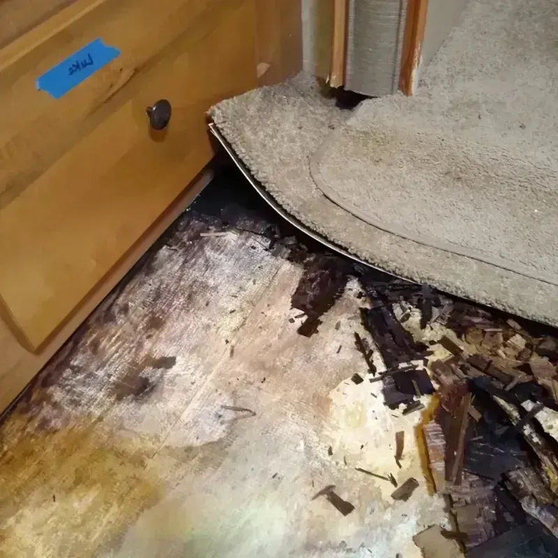 Wood Floor Water Damage in Hagerstown, MD